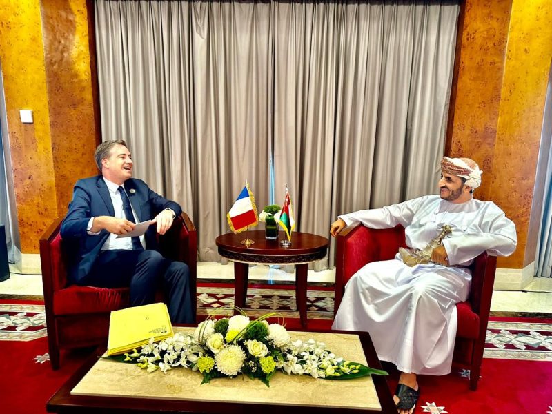 Sheikh-Khalifa-meets-Minister-Delegate-for-Foreign-Trade-Economic-Attractiveness-and-French-Nationals-Abroad