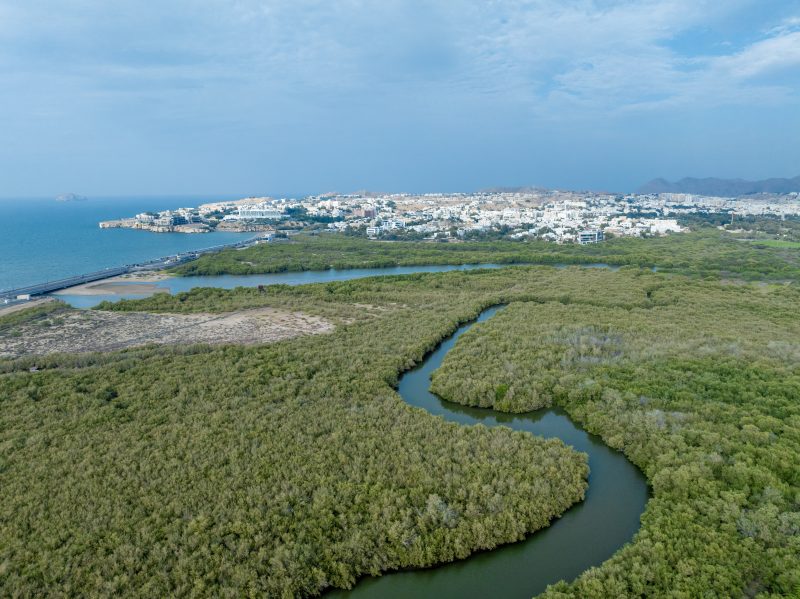 74% of Oman Vision 2040 indicators show substantial progress 