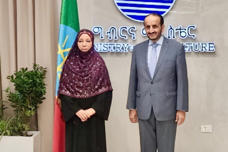 Political Undersecretary holds consultations with Ethiopian ministers