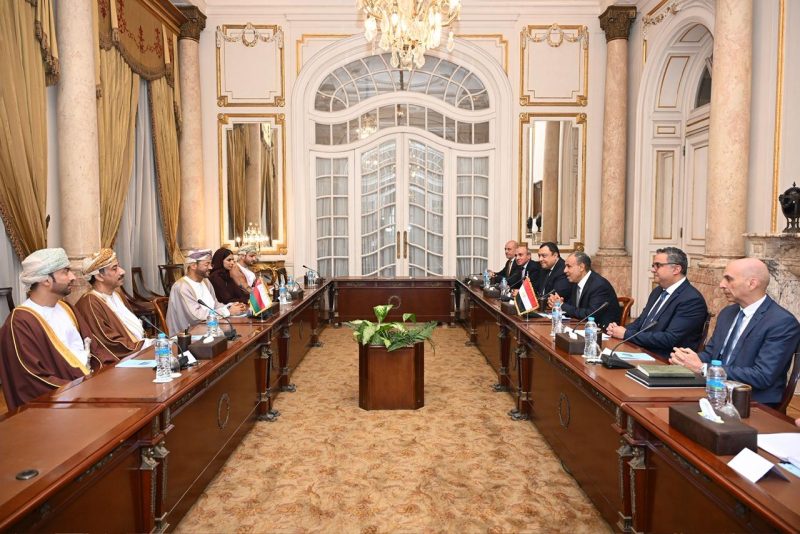 Minister discuss regional developments with Egyptian counterpart