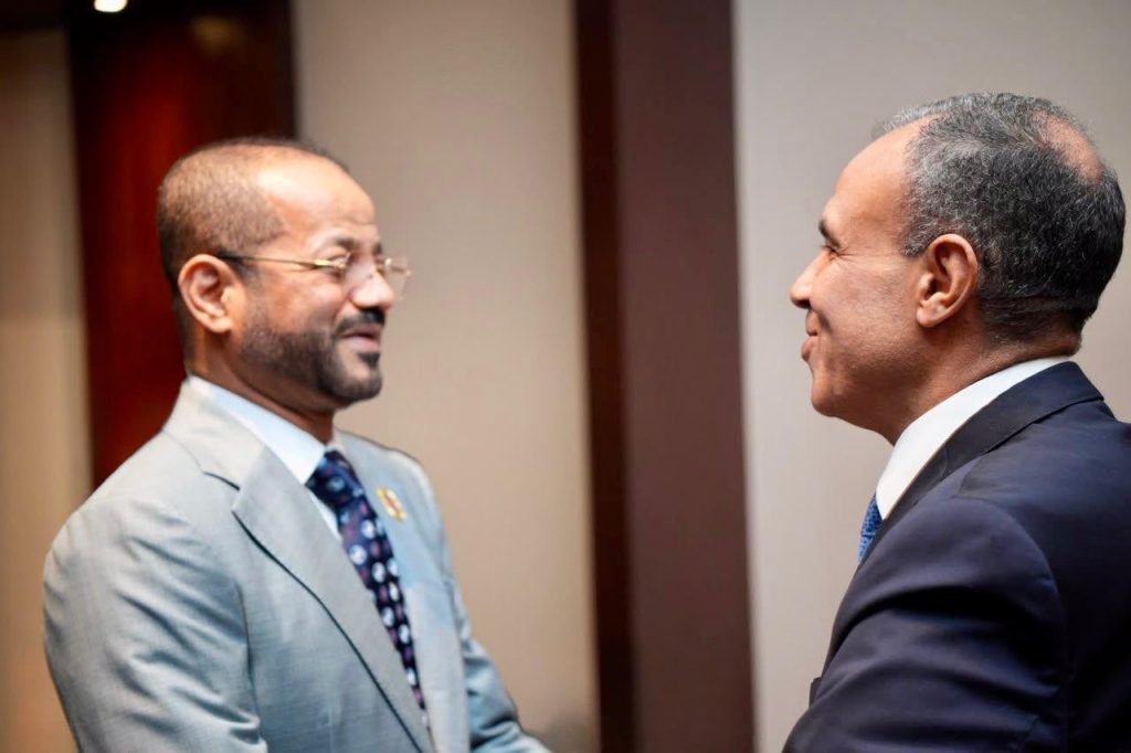 Minister meets Egyptian counterpart in Manila