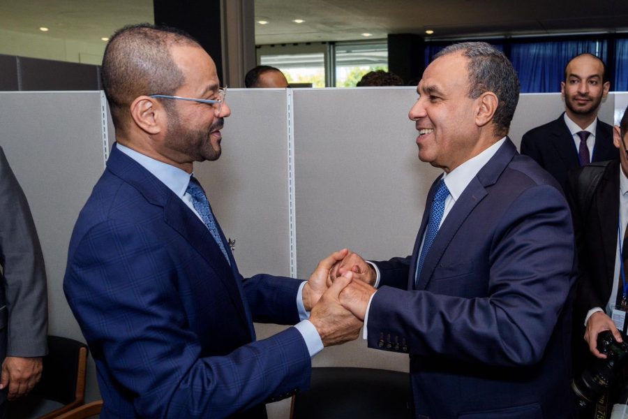 Minister meets Egyptian counterpart in New York