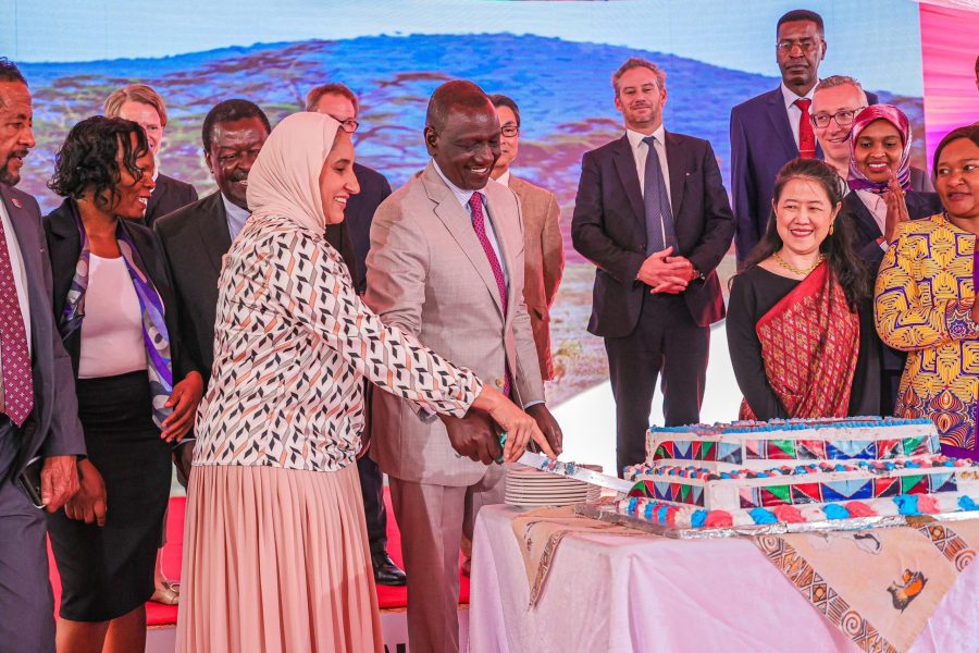 Kenya: Ambassador in celebration of Gedi joining World Heritage List