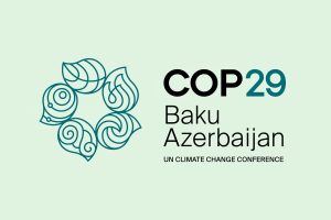 COP 29 Climate change summit