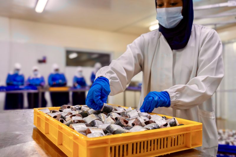 Omani fish products factory