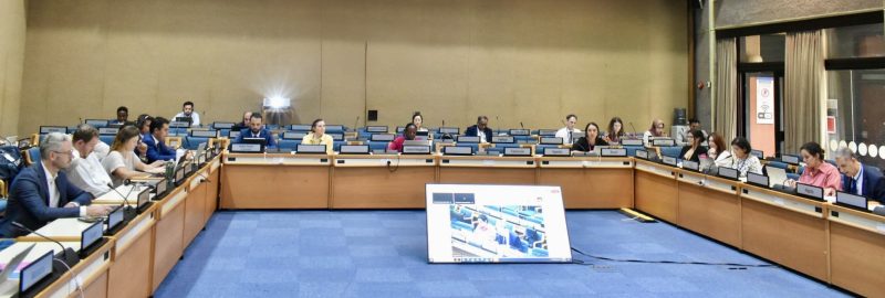 Consultative meeting for the seventh session of the United Nations Environment Assembly (UNEA-7)