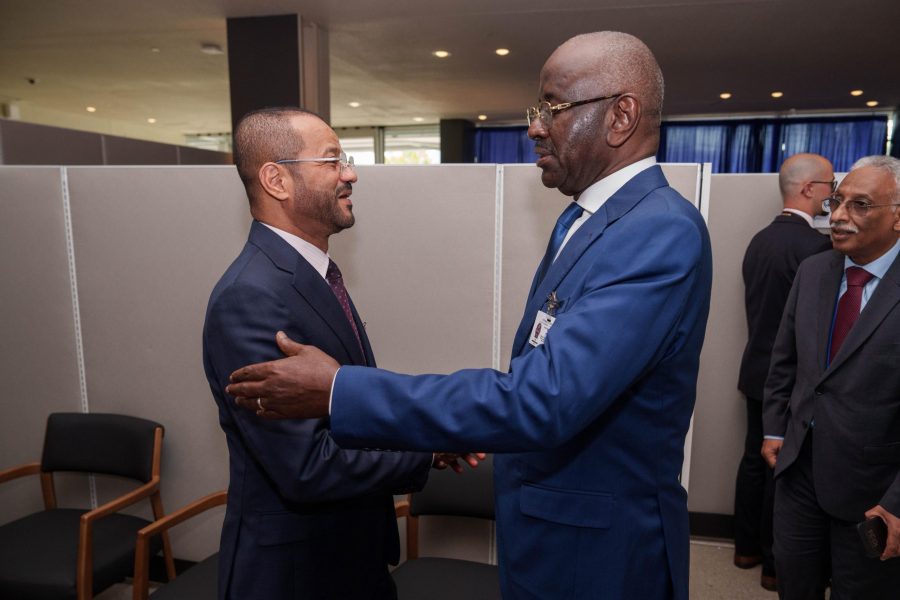 Minister meets Mauritanian counterpart in New York