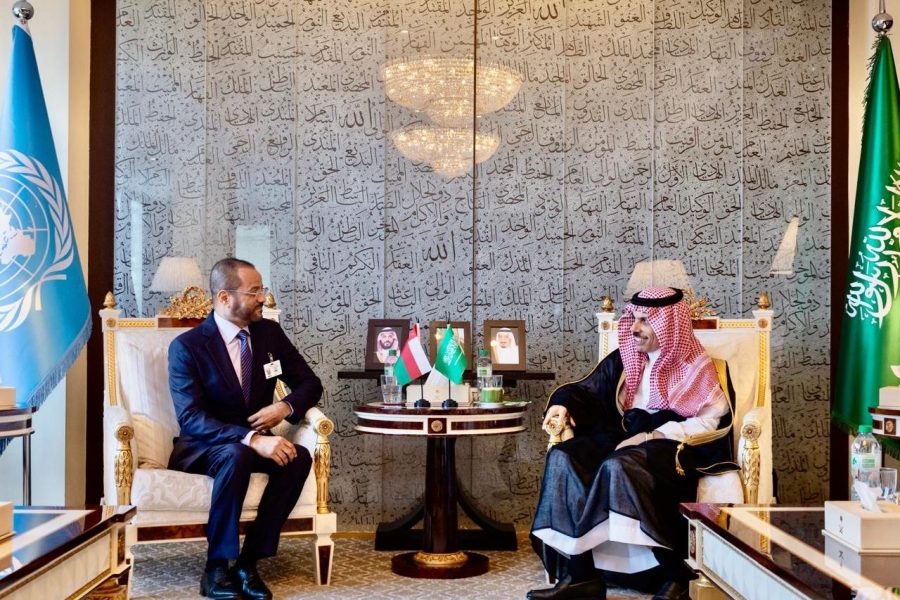 Minister meets Saudi counterpart in New York