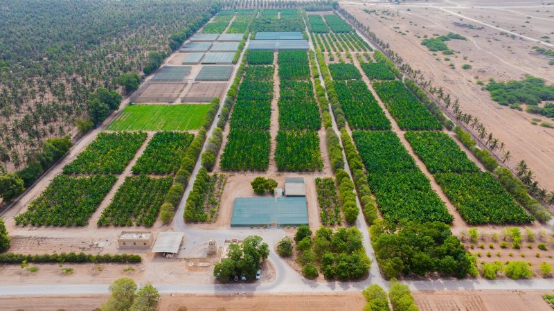 تنفيذ أكثر من 100 مشروع ومُنجز وطني منذ انطلاق رؤية عُمان 2040